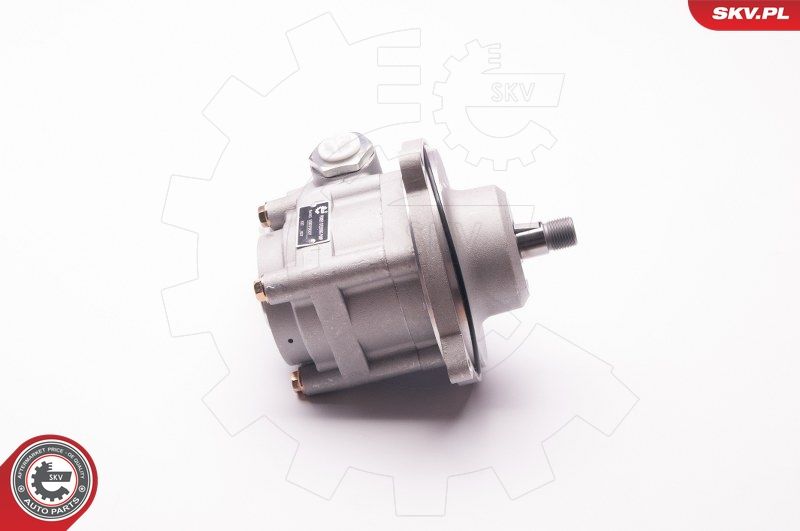 ESEN SKV 1SKV0007 Hydraulic Pump, steering