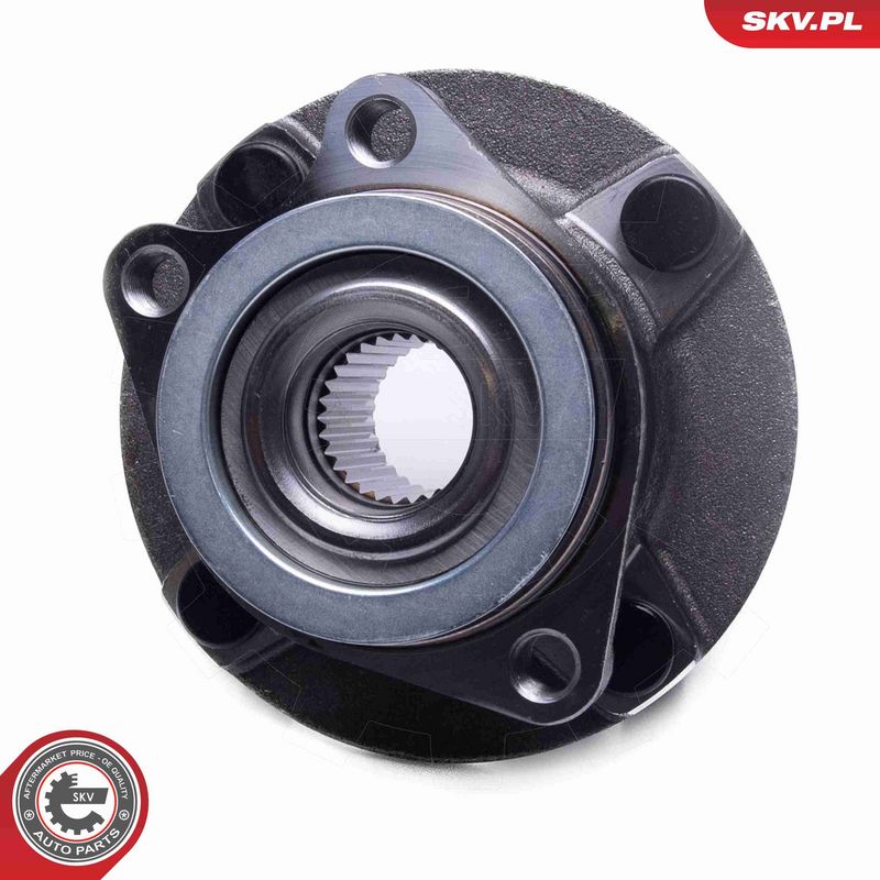 ESEN SKV 29SKV631 Wheel Bearing Kit