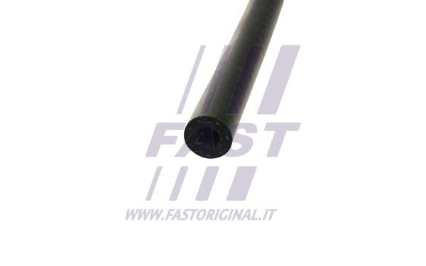 FT68049_4_1.JPG