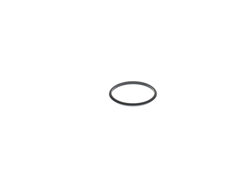 BOSCH F00N202277 Seal