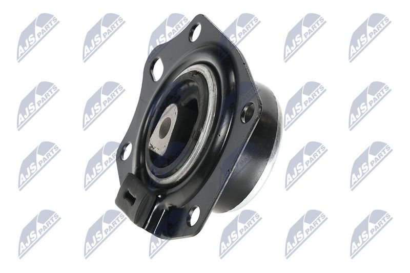 Paigutus, Mootor, NTY ZPS-CH-014