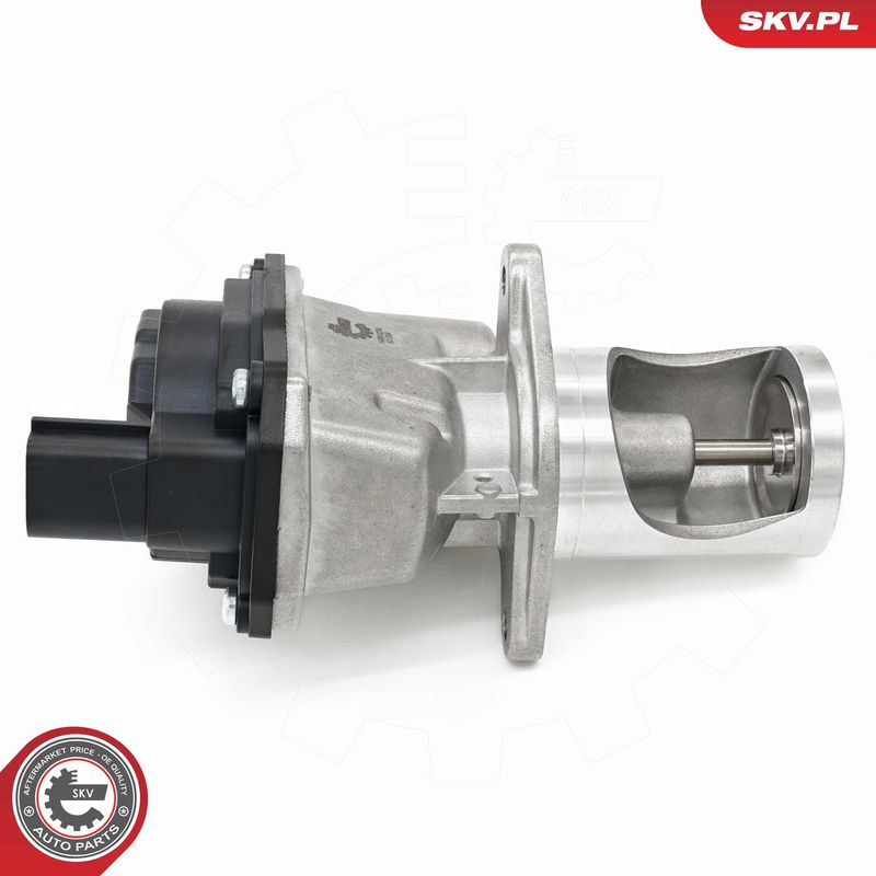 EGR-klapp, ESEN SKV 14SKV274