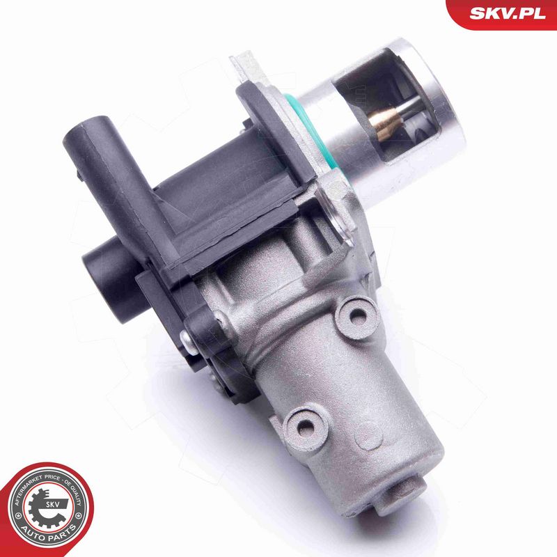 ESEN SKV 14SKV163 EGR Valve