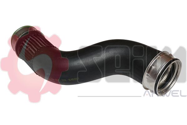 981397.JPG