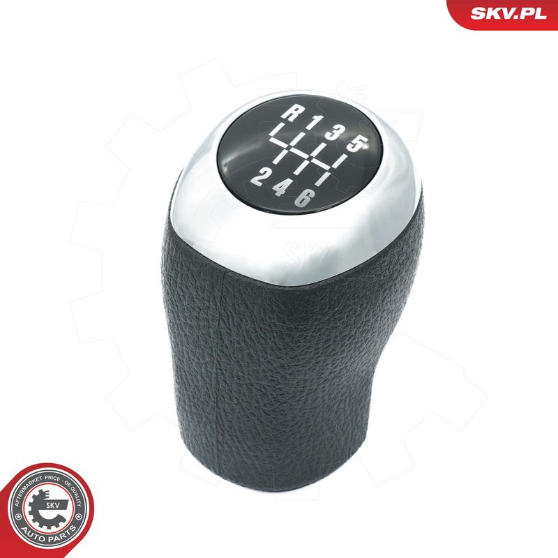 Käigukanginupp, ESEN SKV...