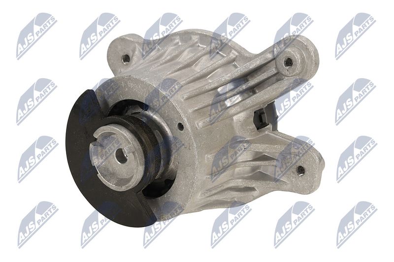 Paigutus, Mootor, NTY ZPS-ME-048