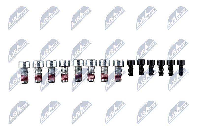 Sidurikomplekt, NTY NZS-PL-009
