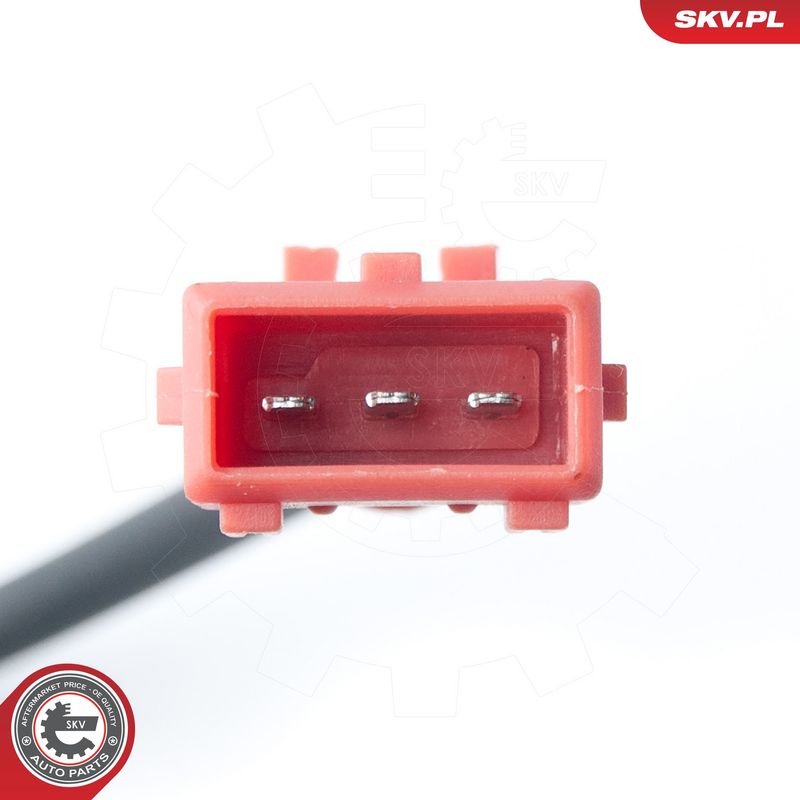 Andur, väntvõll, ESEN SKV 17SKV306