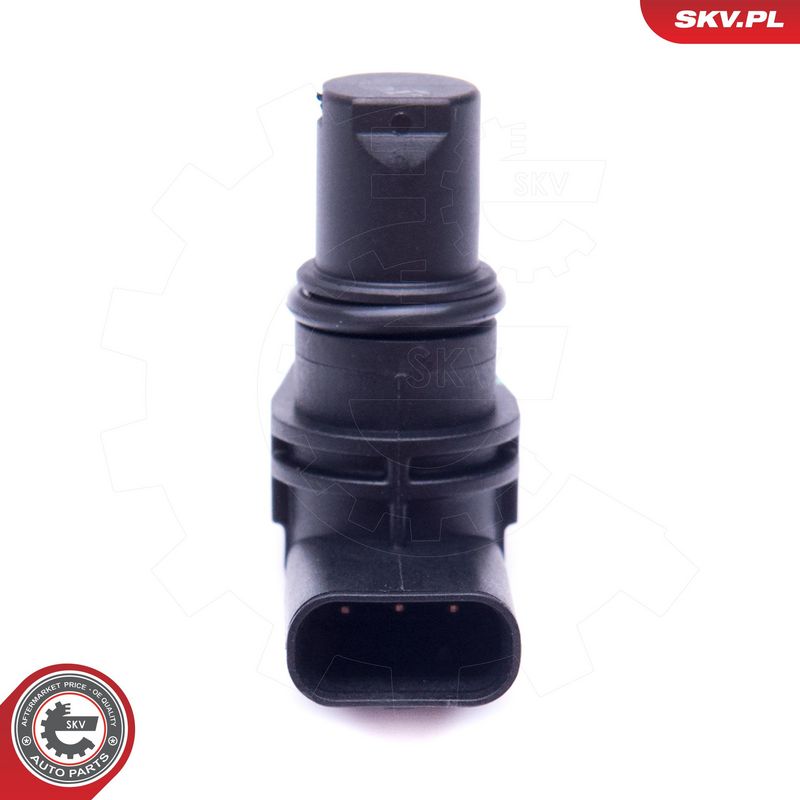 Andur, Nukkvõllipositsioon, ESEN SKV 17SKV488