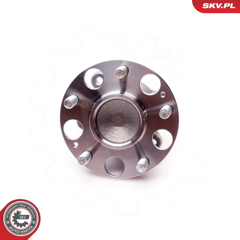 Rattalaagrikomplekt, ESEN SKV 29SKV171