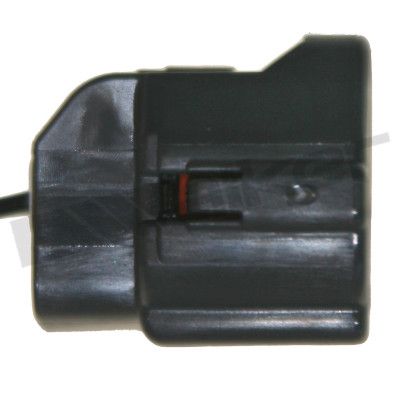 273-20338_3.JPG