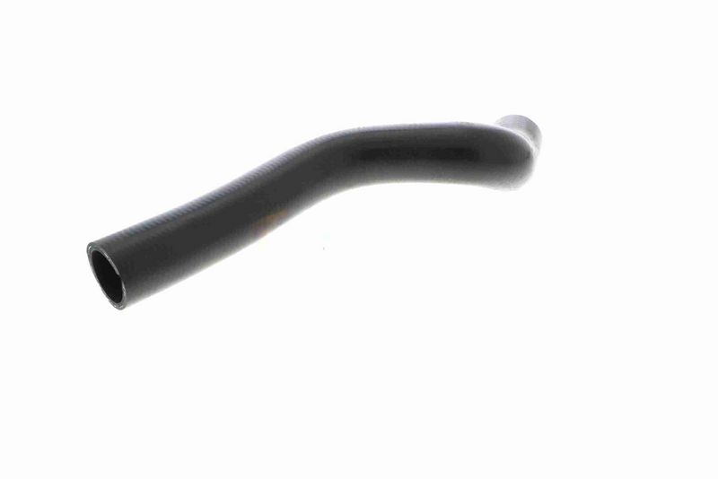 VAICO V40-1170 Radiator Hose