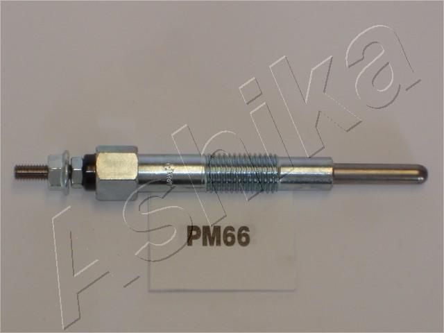 PM66_1.JPG