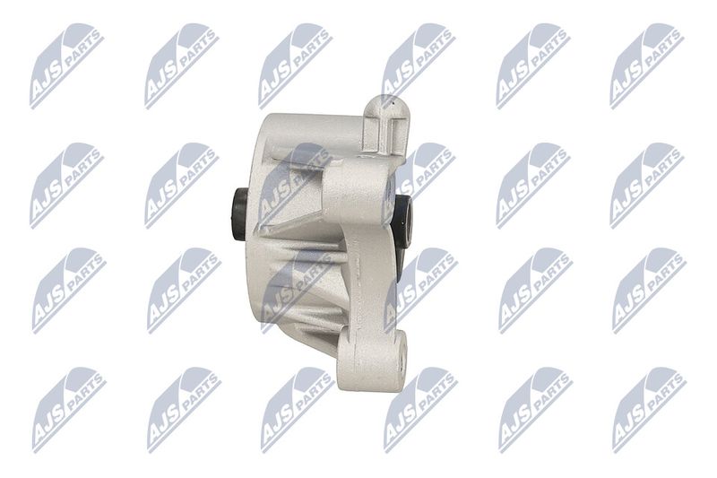 Paigutus, Mootor, NTY ZPS-PL-093