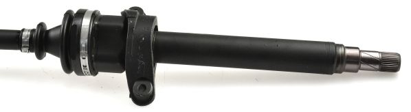 GKND12976D.JPG