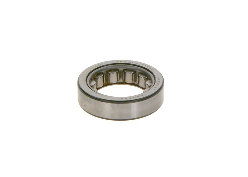 BOSCH 1900910113 Bearing