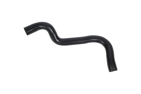 GOOM Radiatoriaus žarna