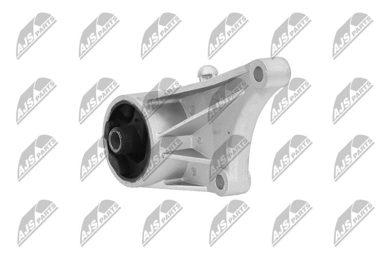 Paigutus, Mootor, NTY ZPS-PL-012