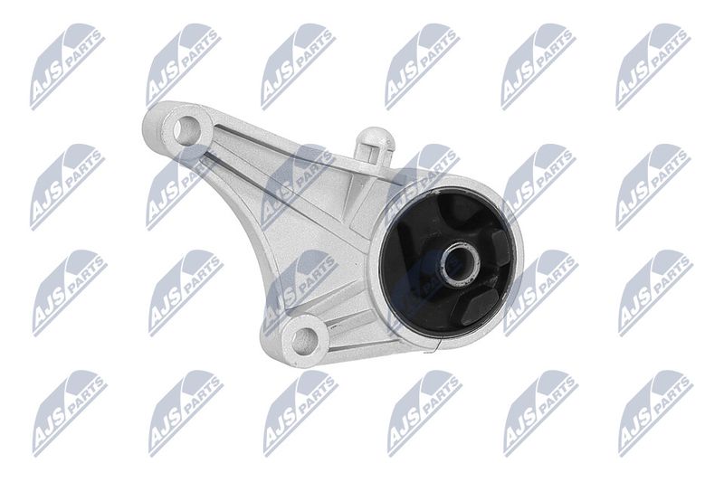 Paigutus, Mootor, NTY ZPS-PL-012