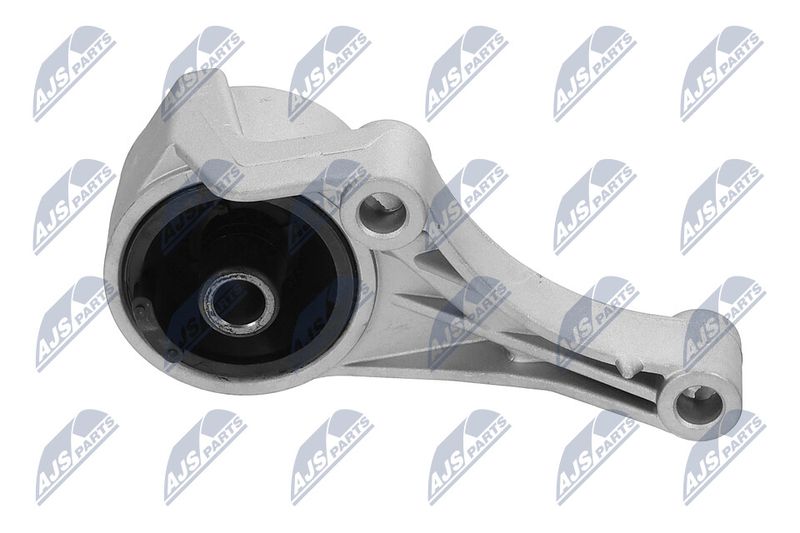 Paigutus, Mootor, NTY ZPS-PL-007