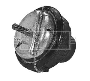 BEM3477_210331.JPG