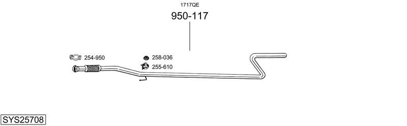 SYS25708.JPG