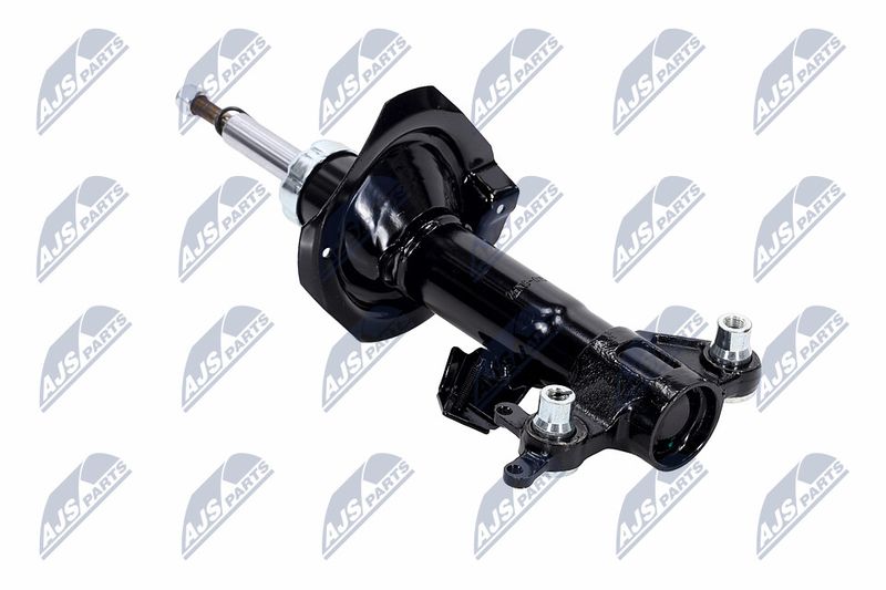 Amort, NTY A-NS-015