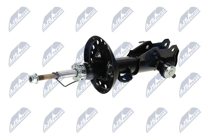 Amort, NTY A-PL-062