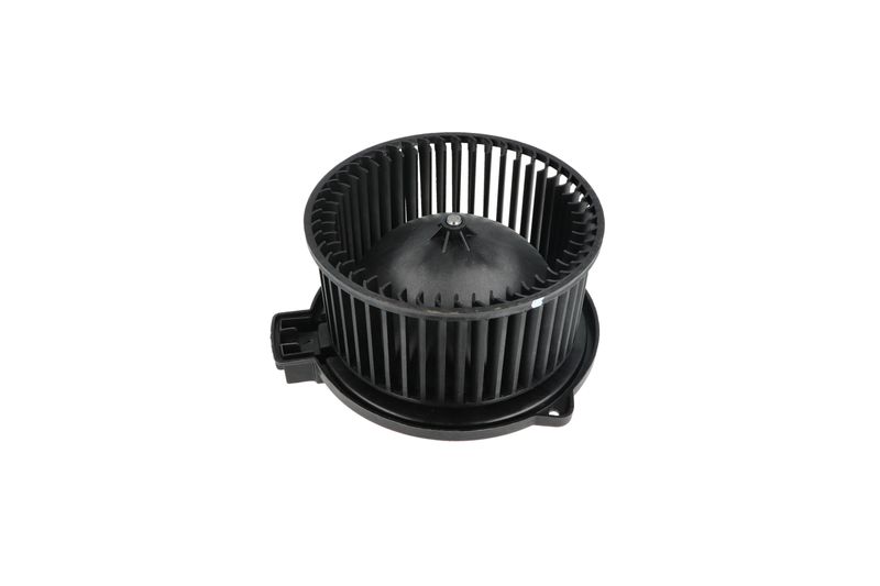 Salongipuhur, NRF 34331