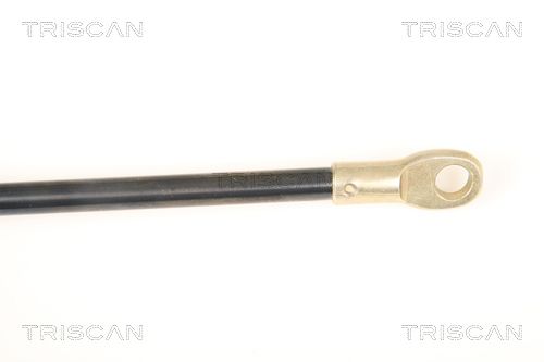 TRIS87109002_3.JPG