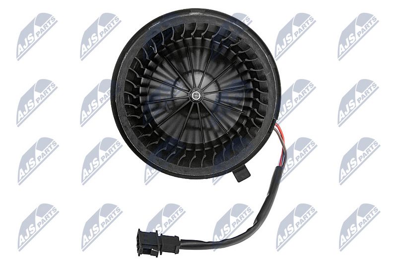 Salongipuhur, NTY EWN-WW-012