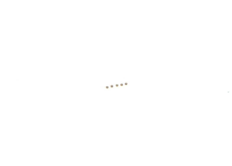 BOSCH F00ZC99750 Repair Kit, common rail system