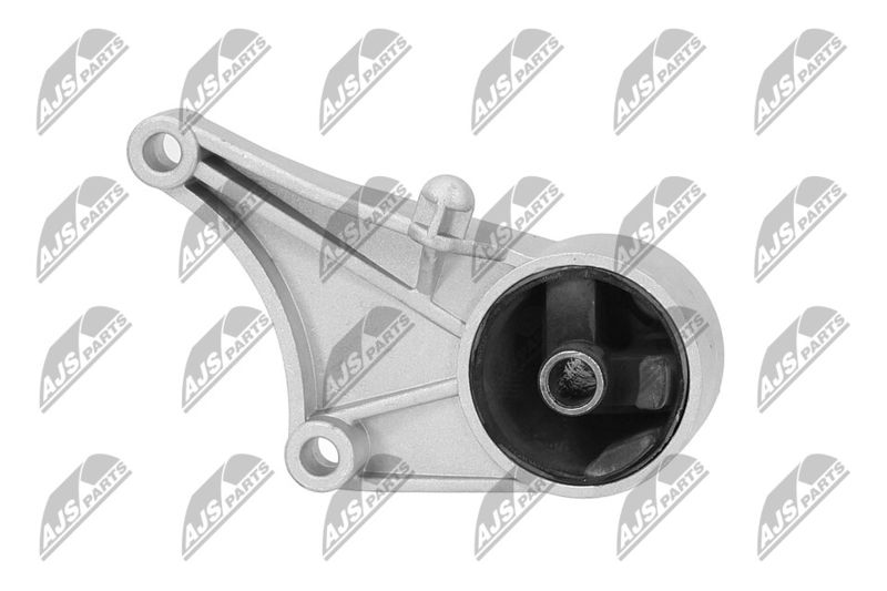 Paigutus, Mootor, NTY ZPS-PL-015