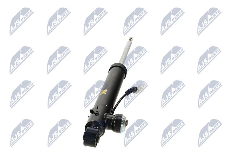 Amort, NTY A-PL-065