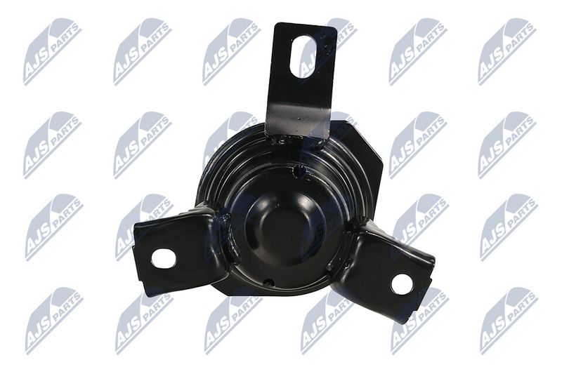 Paigutus, Mootor, NTY ZPS-MS-069