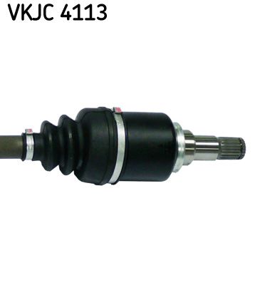 VKJC 4113_3.JPG