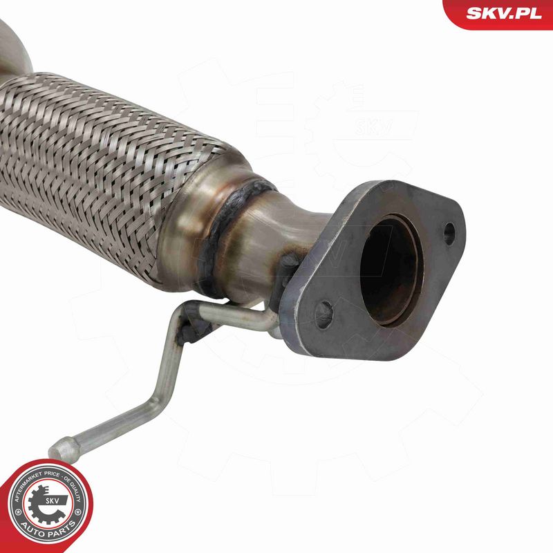 ESEN SKV 62SKV174 Katalizatorius
