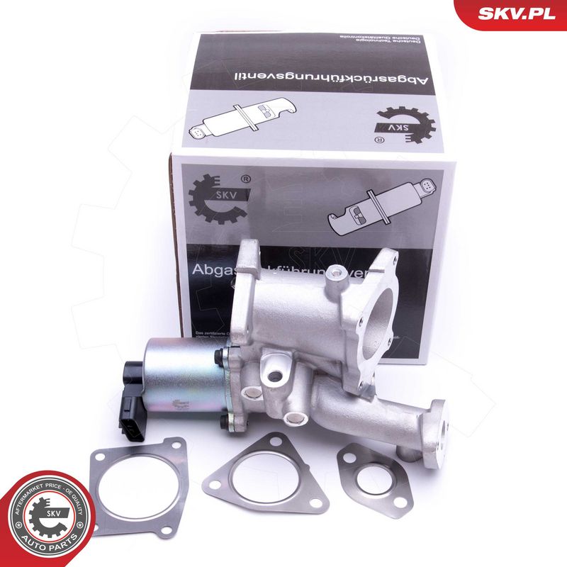 EGR-klapp, ESEN SKV 14SKV166