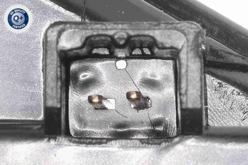 V10-84-0156_03.JPG