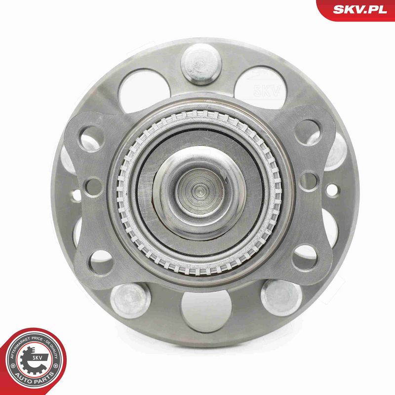 ESEN SKV 29SKV669 Wheel Bearing Kit