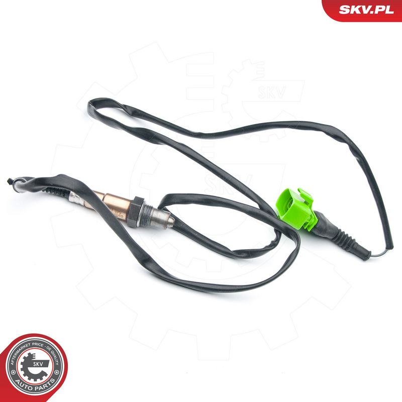 Lambda andur, ESEN SKV 09SKV646