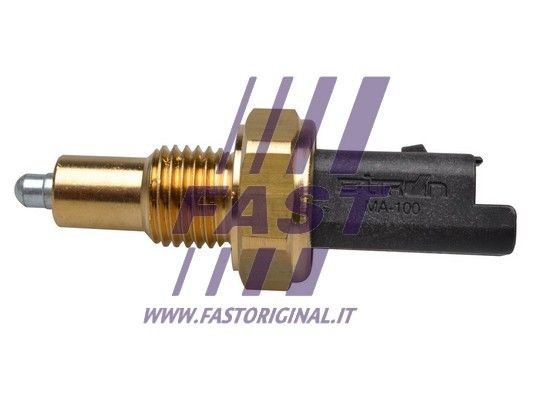 FT81085_1_1.JPG