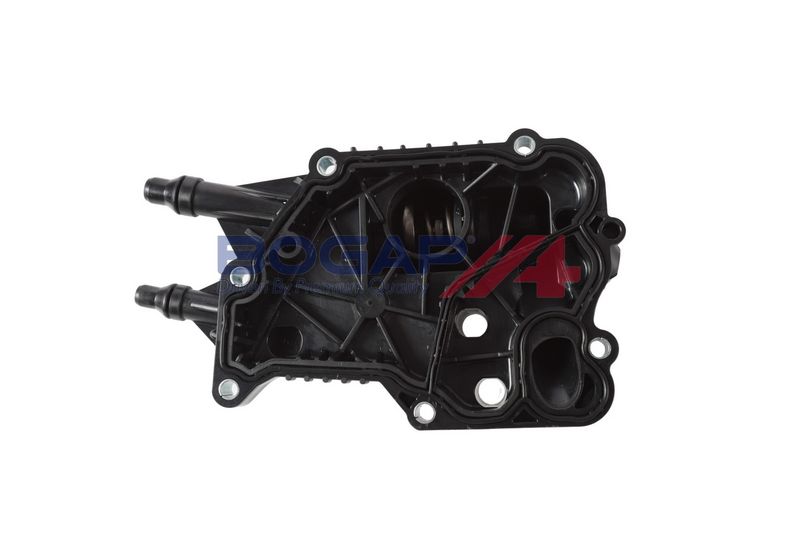 Termostato BOGAP B4234151 - 5