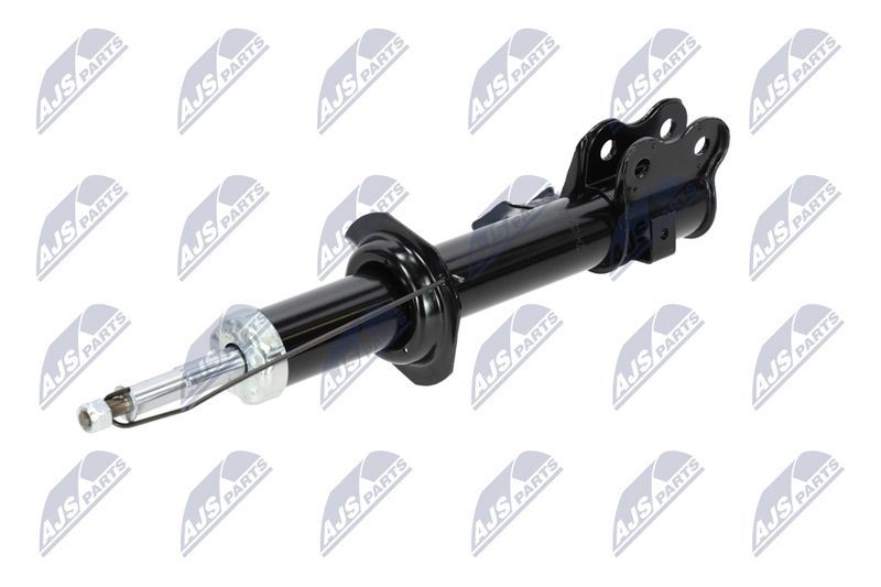 Amort, NTY A-NS-009