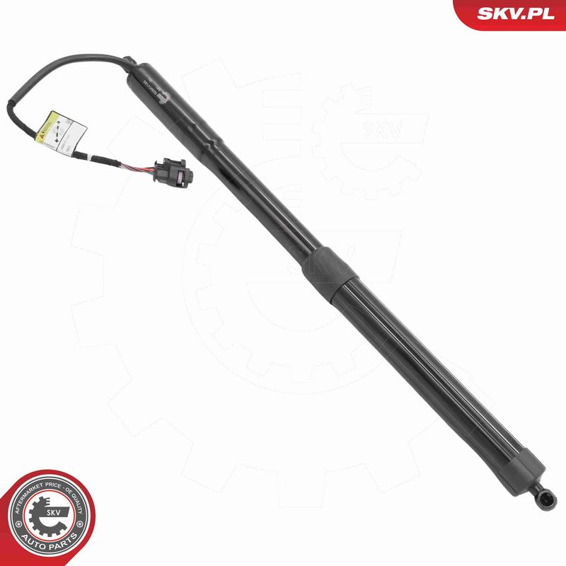 ESEN SKV 52SKV188 Electric Motor, tailgate