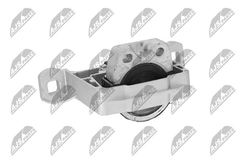 Paigutus, Mootor, NTY ZPS-FR-045