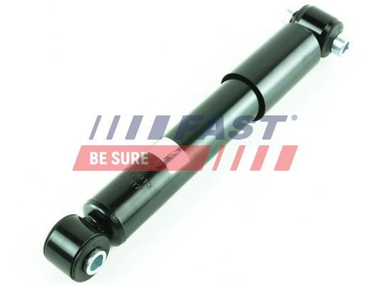 FT11013_1_1.JPG