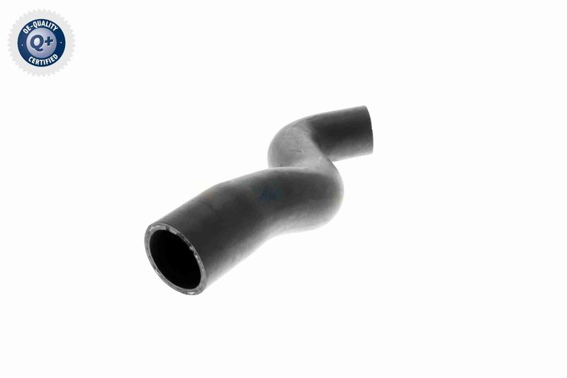VAICO V30-1619 Radiator Hose