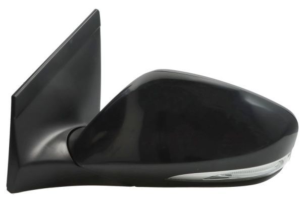 BLIC 5402-20-0542312P Exterior Mirror