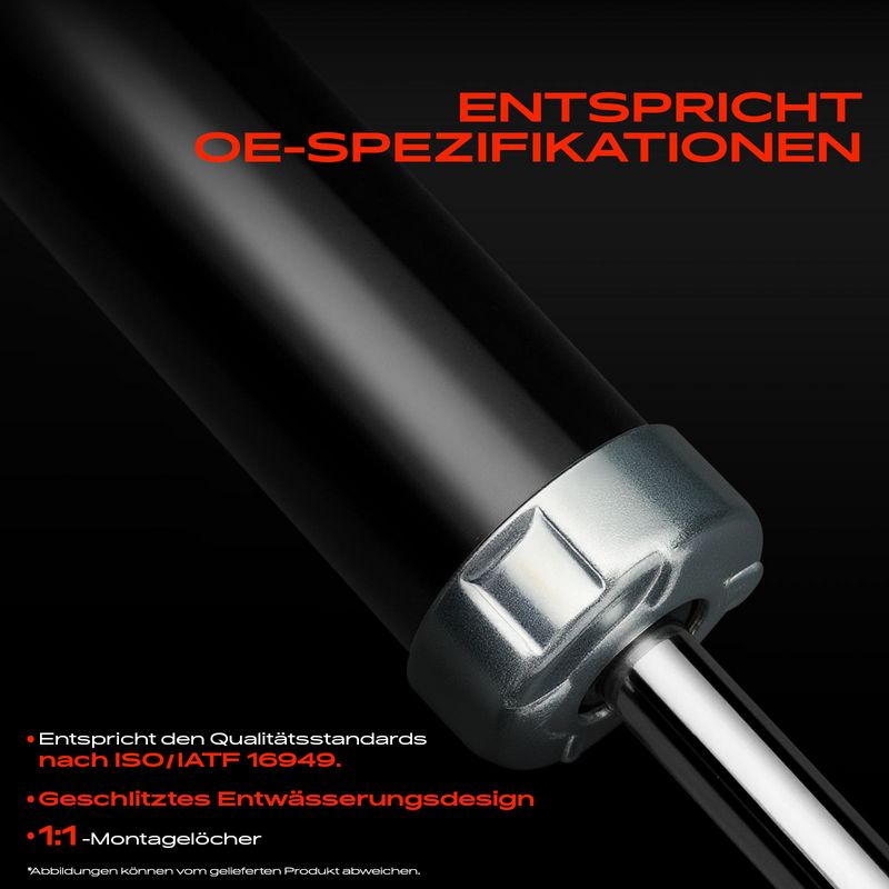 Frankberg 5481FB0019456 Shock Absorber